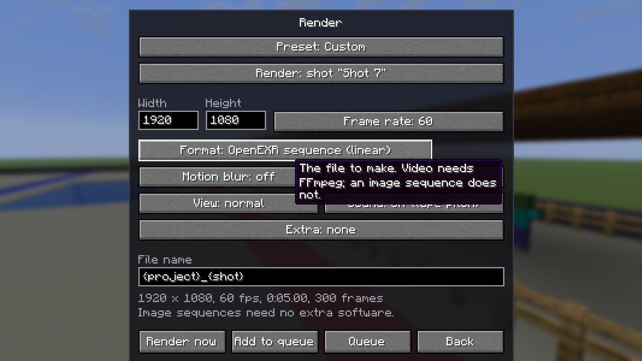 The render window