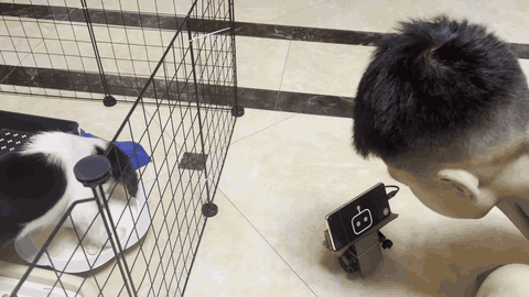 The robot keeping a child company while the real dog eats