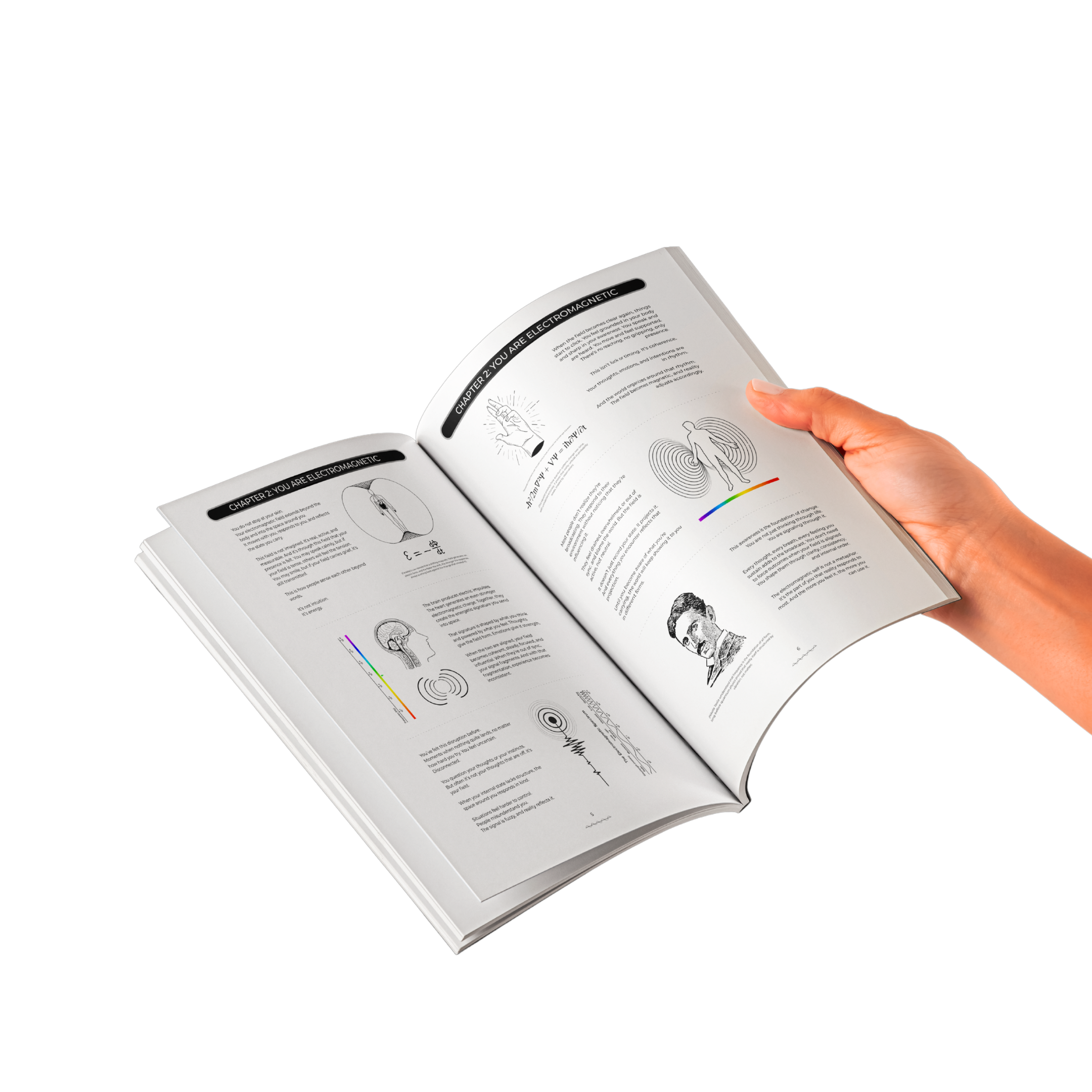 The Frequency Effect - Classic Edition with white pages