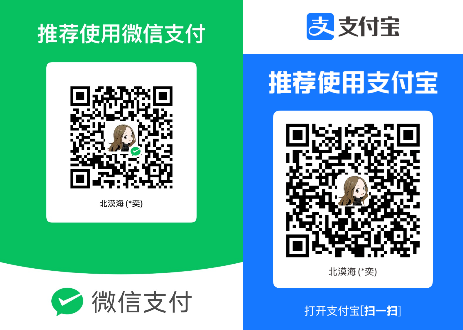 WeChat Pay and Alipay payment codes