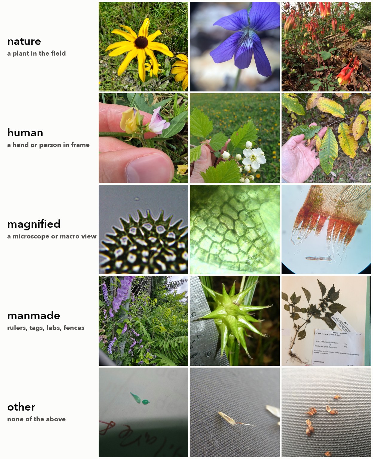 Three example photos for each label