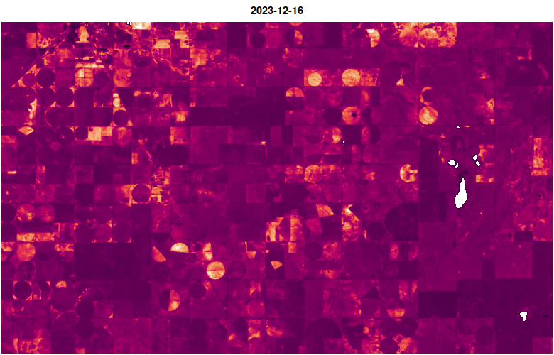 Smoothed NDVI, December 2023 to December 2024