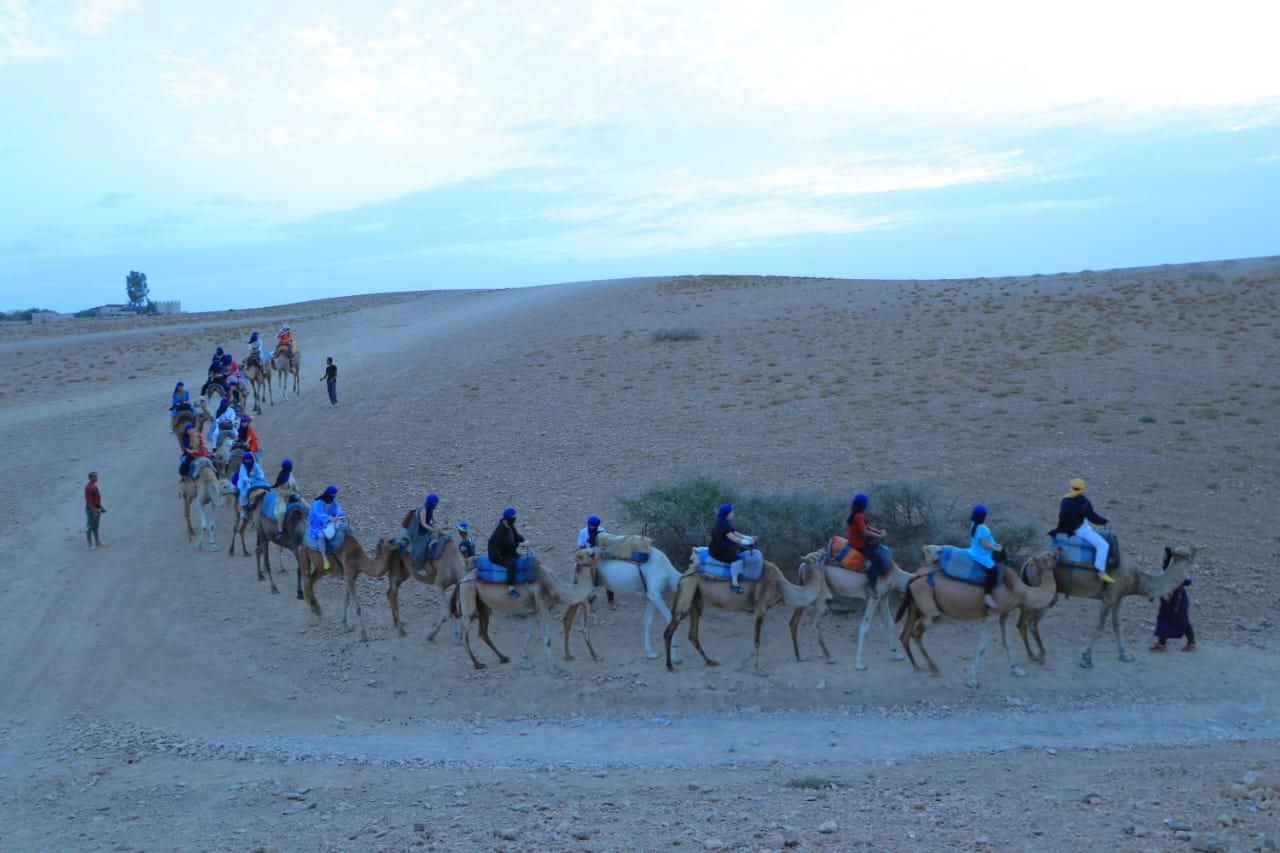 Epic Moroccan Journey: Deserts, Mountains, and Seaside Wonders - View 9