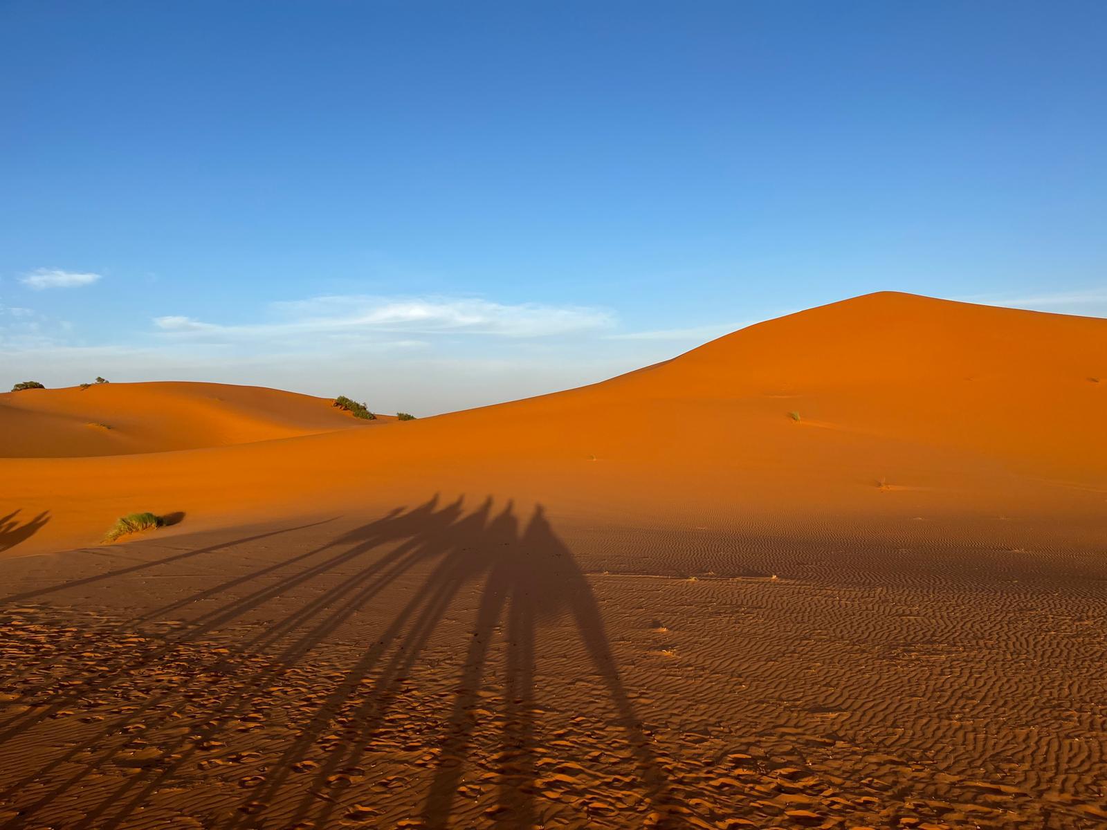 Moroccan Odyssey: From Dunes to Souks