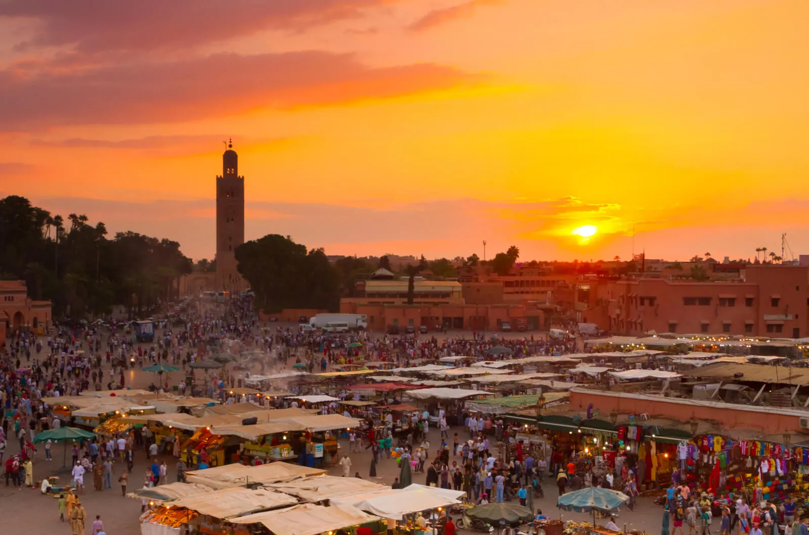 Best Excursions in Marrakech:  Things to do in Marrakech