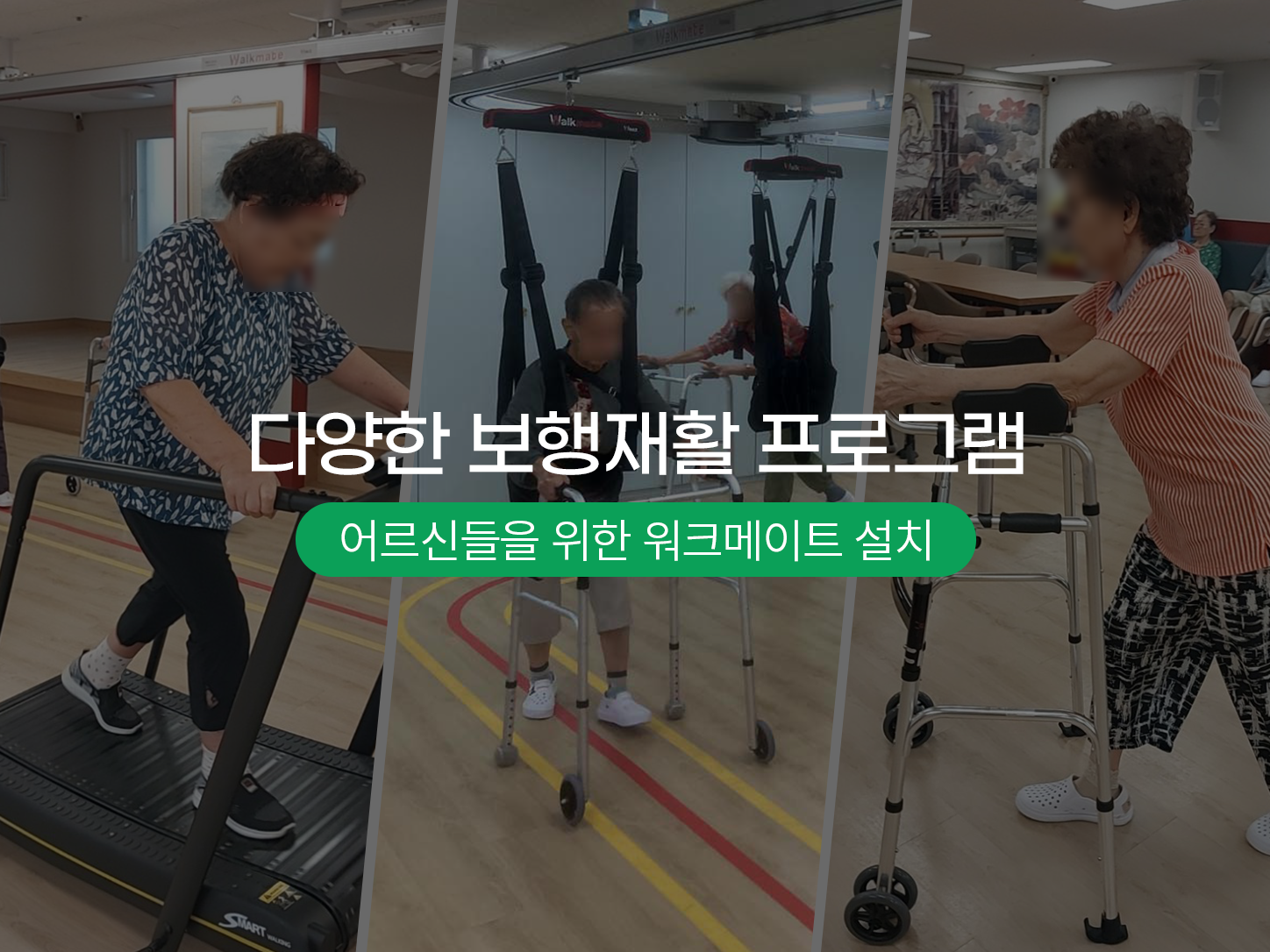 소림 헤더 이미지 1