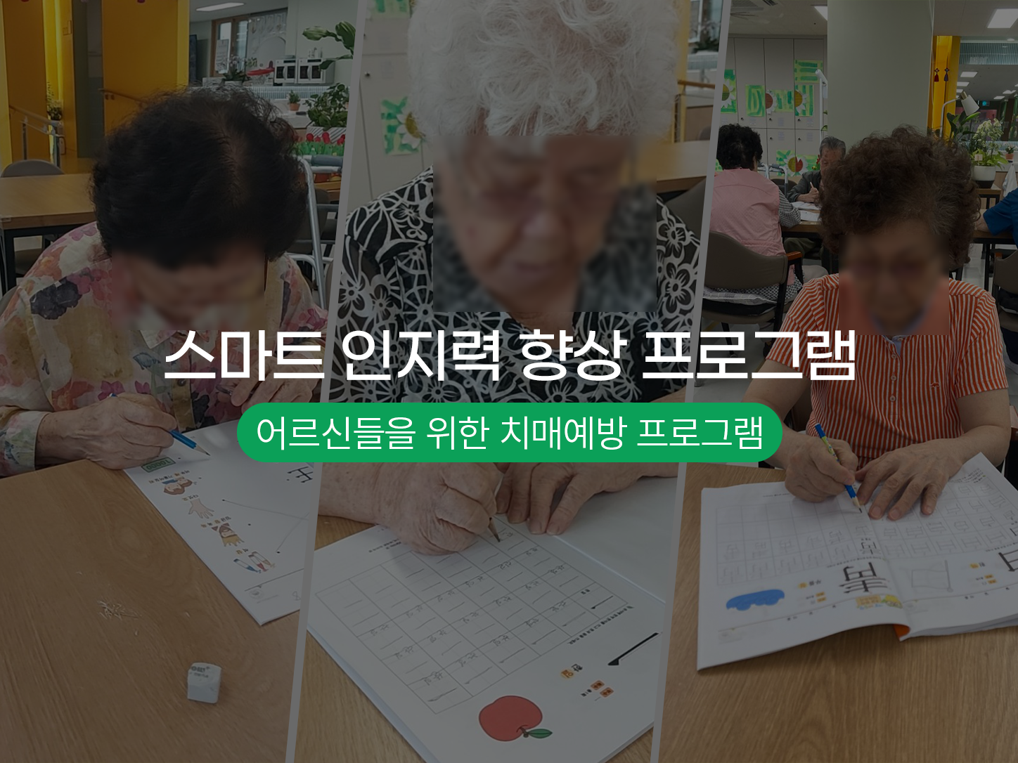 소림 헤더 이미지 2