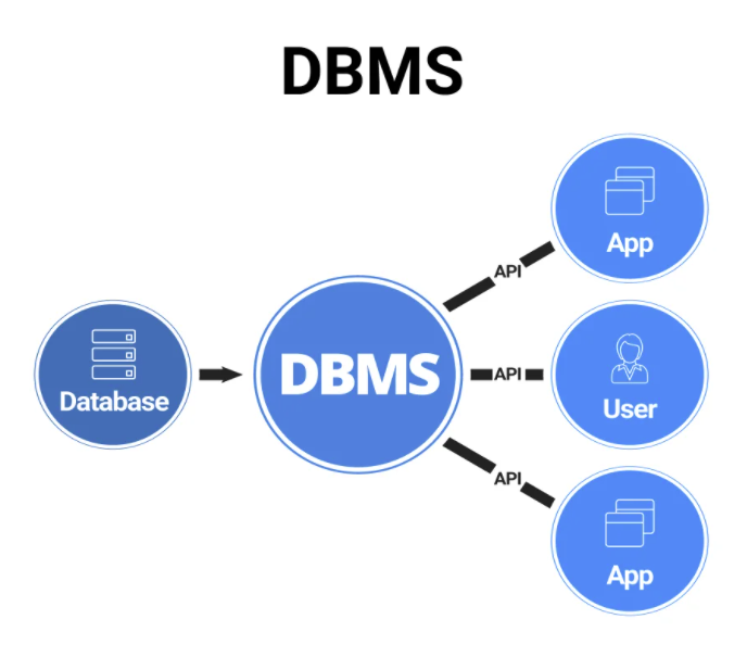 DBMS