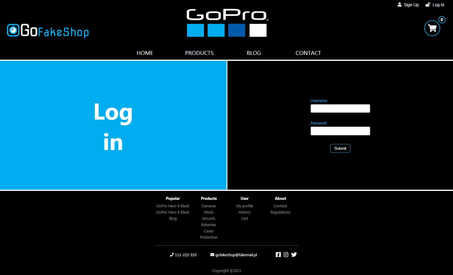 Log In Page