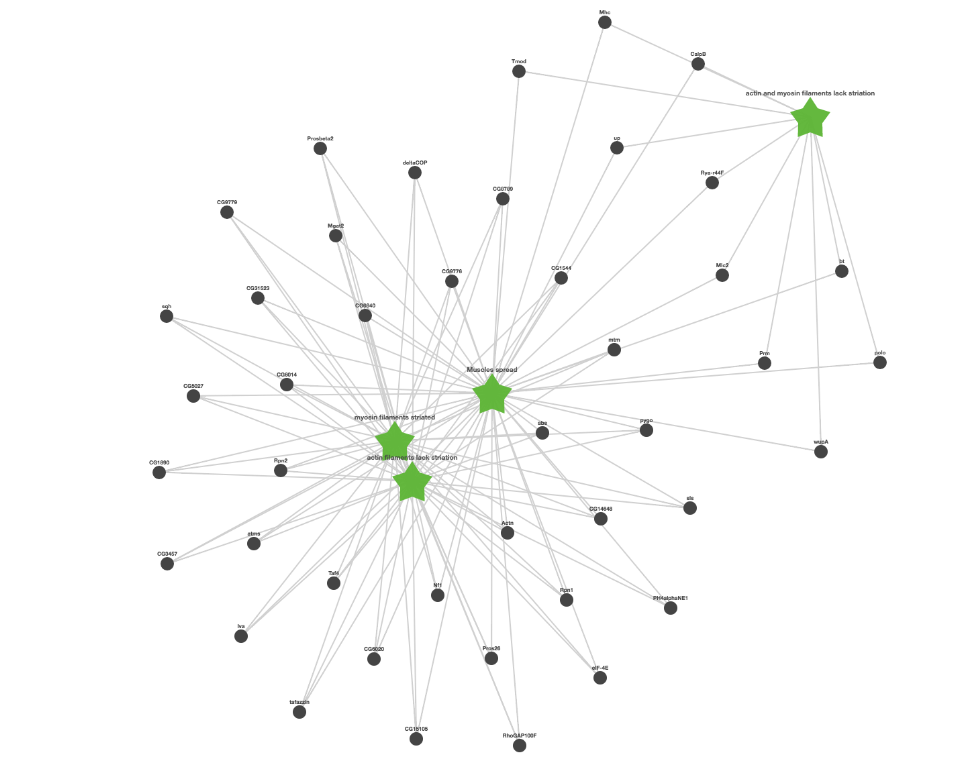 grnai-vis-phenotypes-npm-npm-io