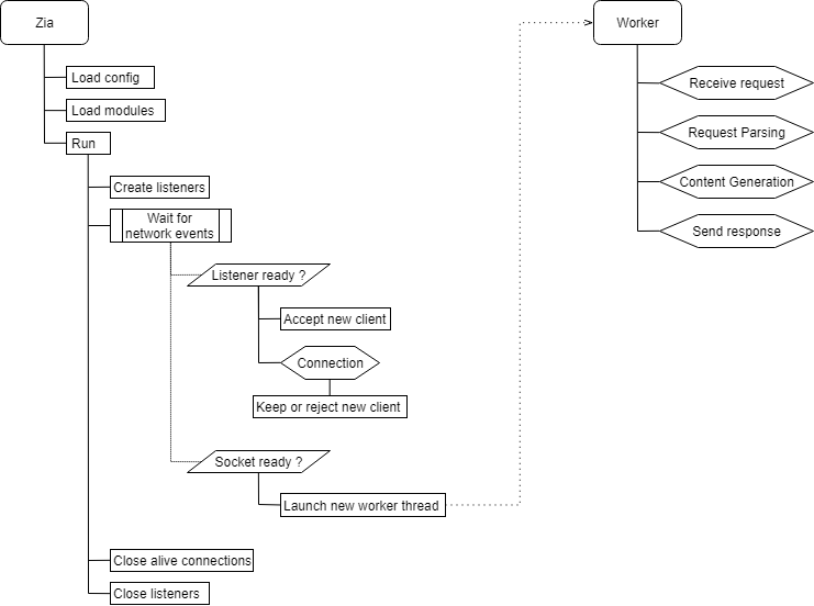 Workflow du Zia