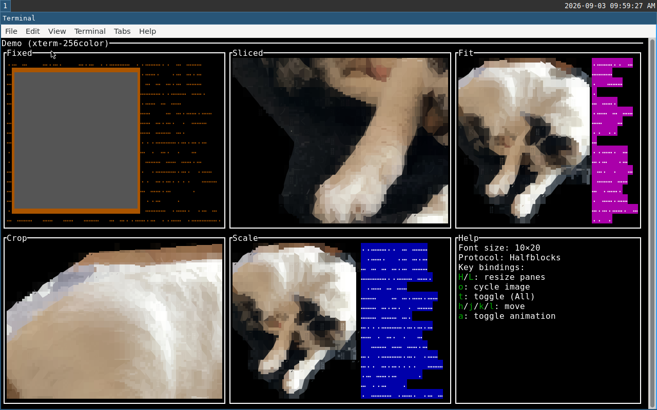 xfce4-terminal screenshot