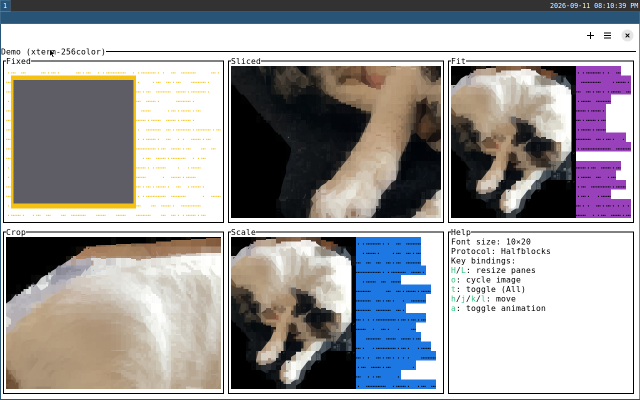 blackbox screenshot