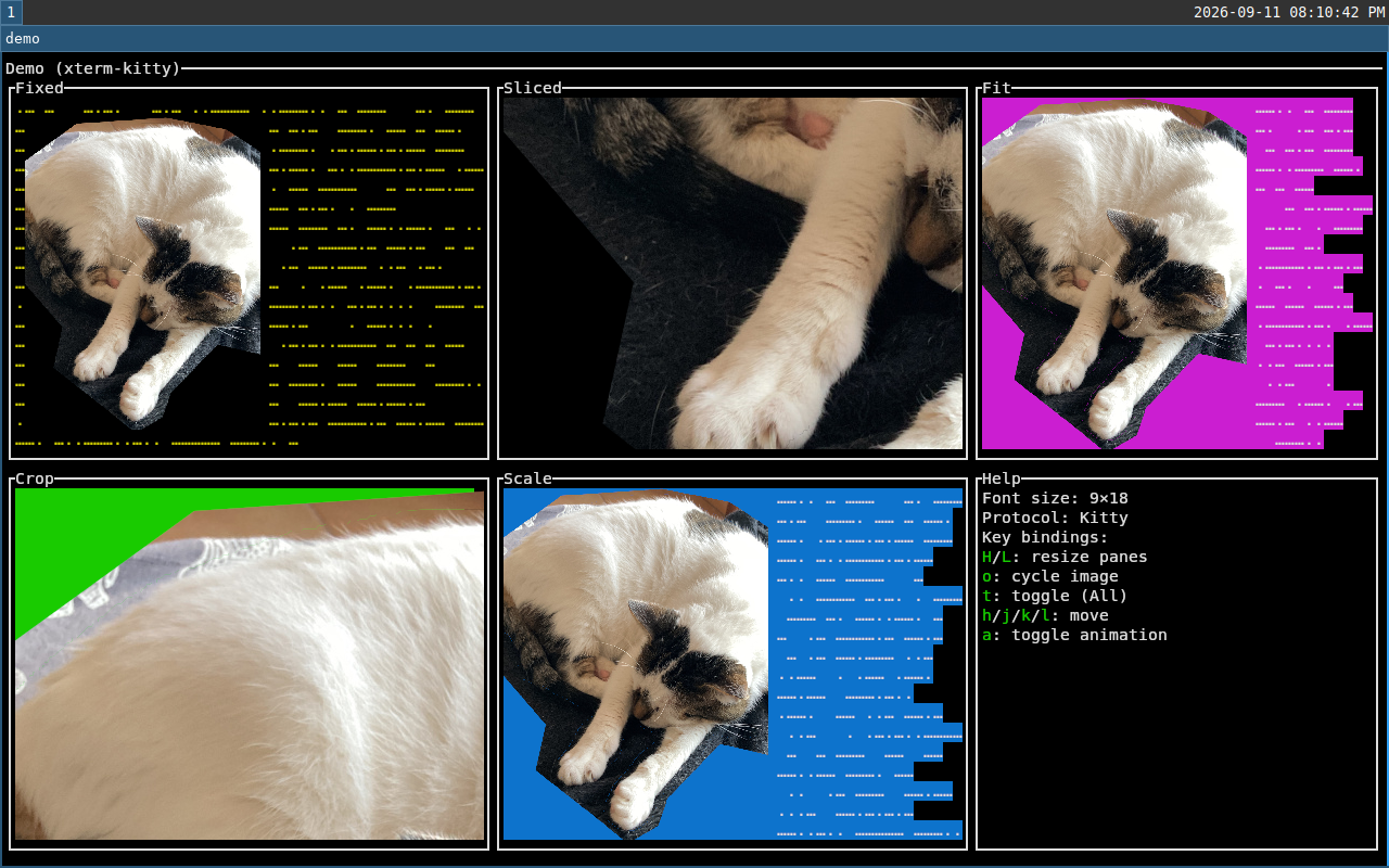 kitty screenshot