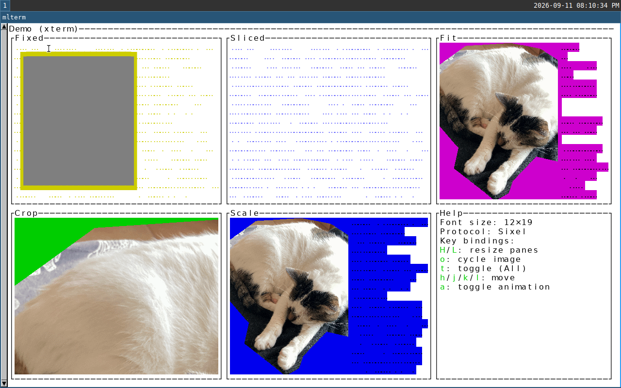 mlterm screenshot