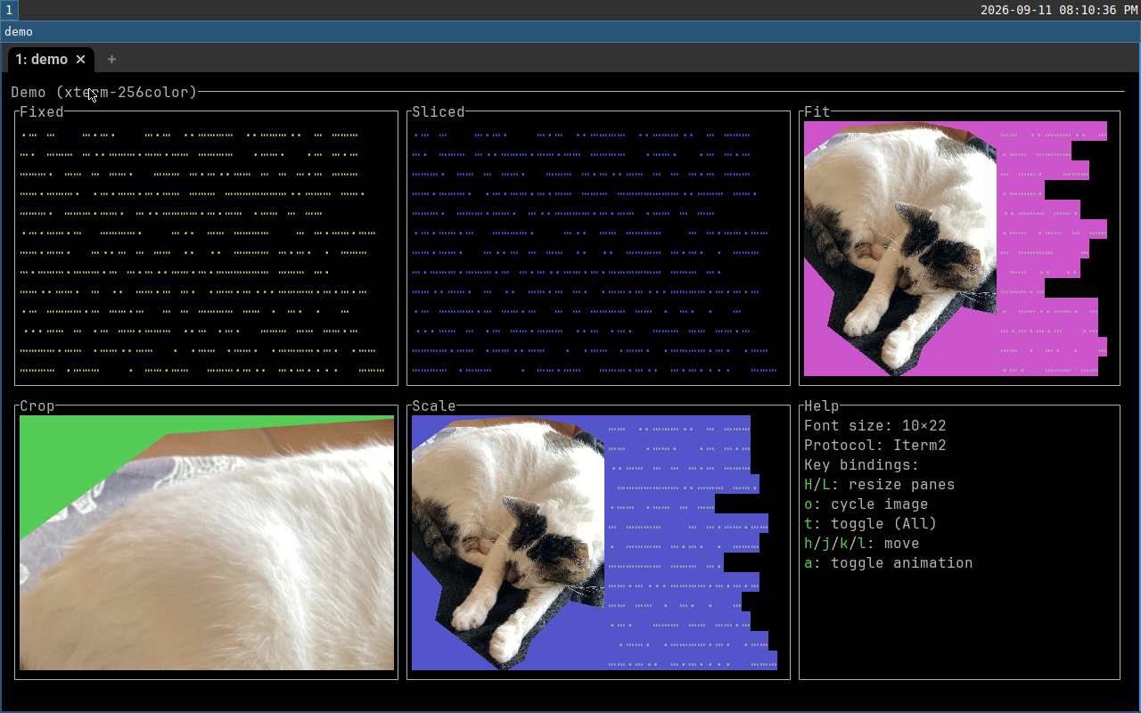 wezterm screenshot