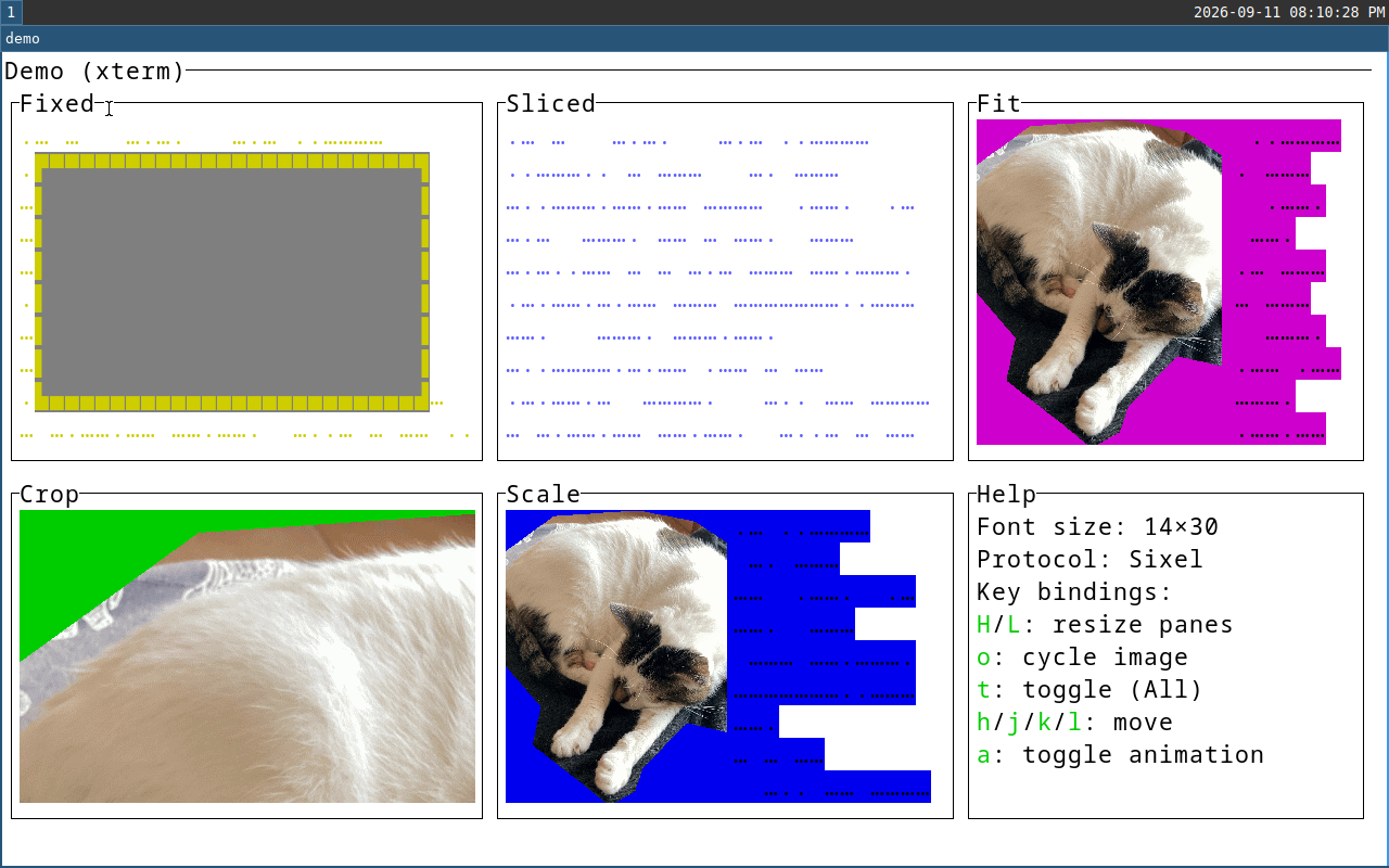 xterm-vt340 screenshot
