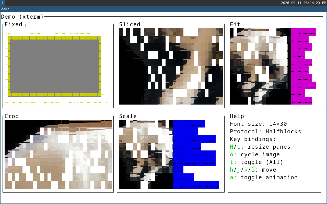 xterm screenshot