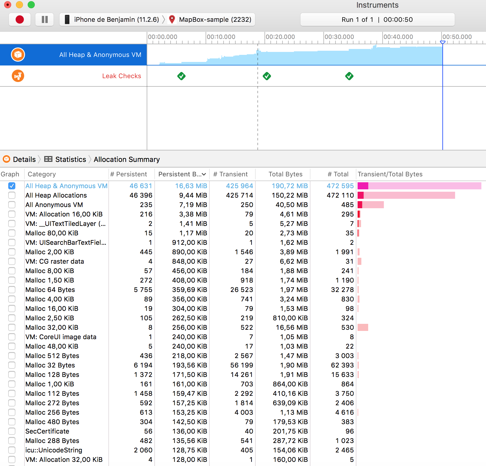 Memory Leaks