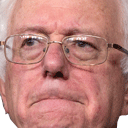 bernie.png