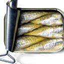 sardine.png