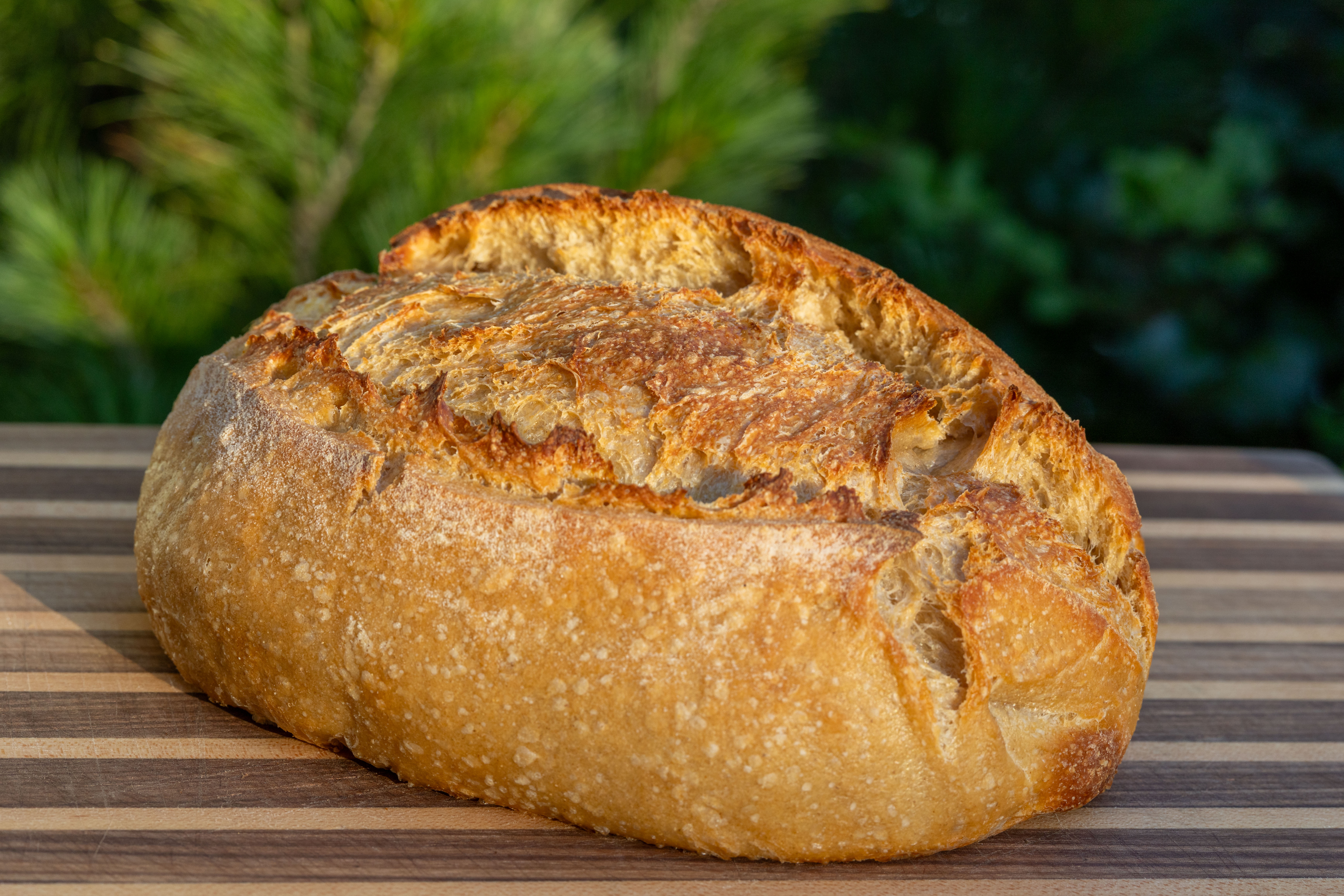 Sourdough bread