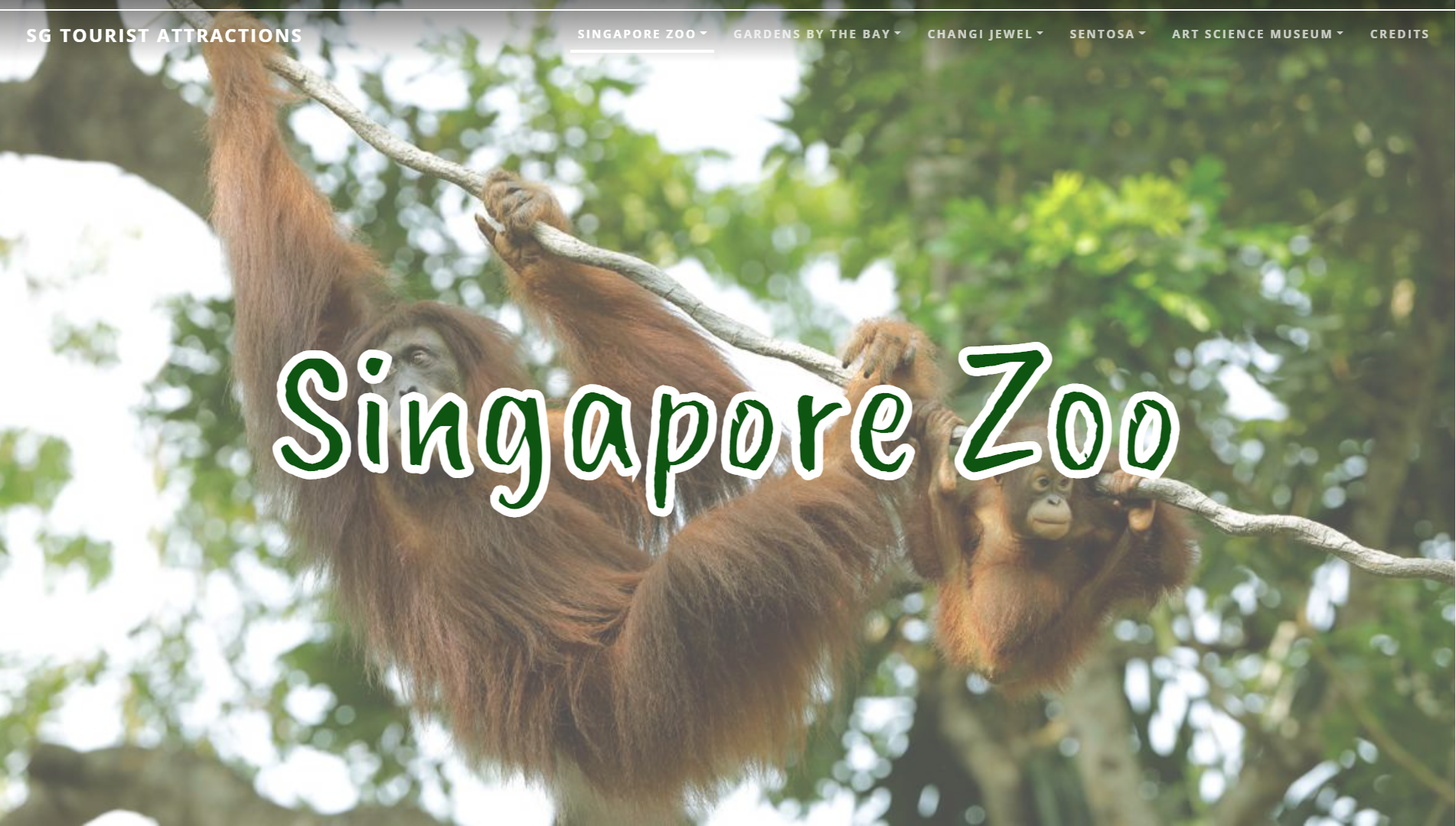 Singapore Zoo