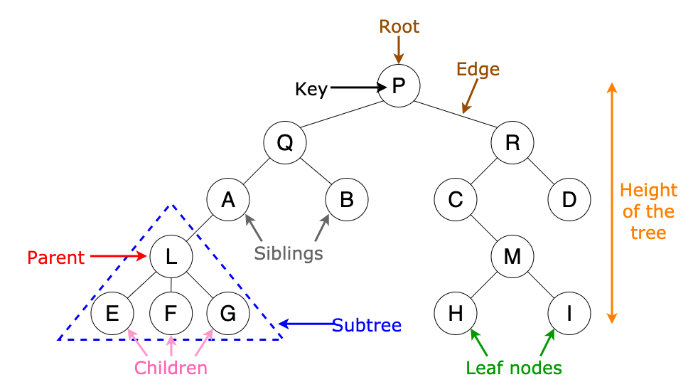 Data Structure_9_1