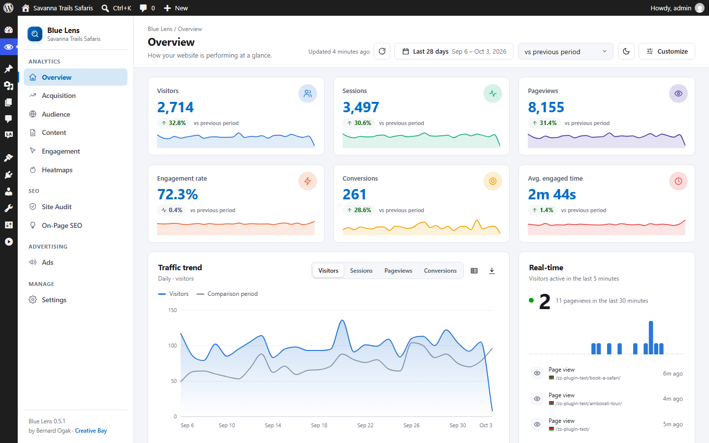 Blue Lens Analytics overview dashboard