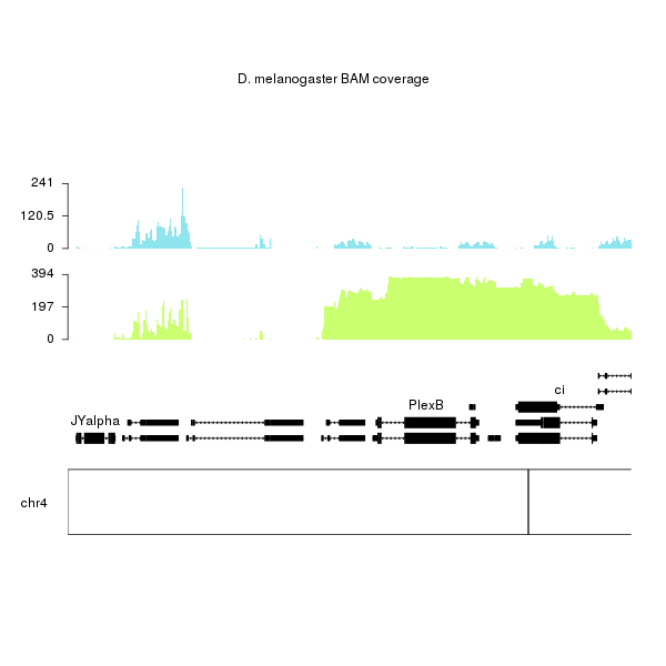 ChIP-seq data plot example created with karyoploteR in D. melanogaster