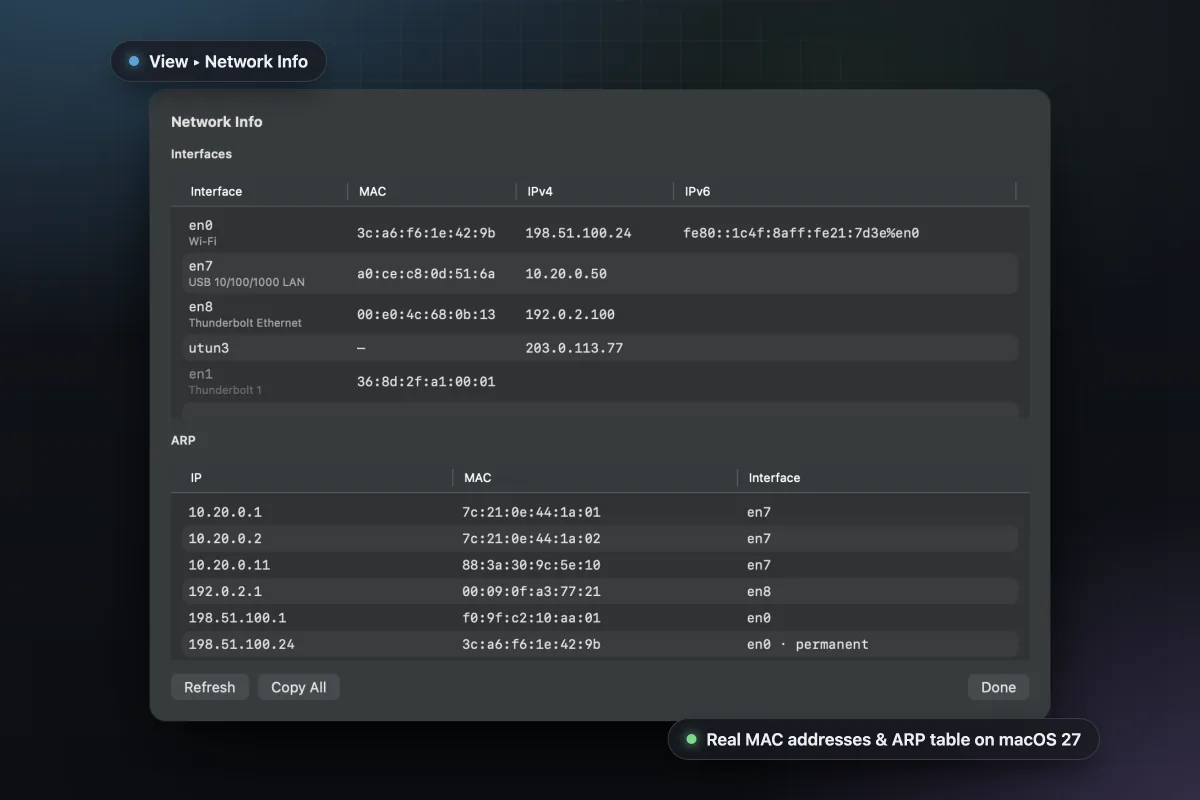 Network Info window with interfaces and ARP table