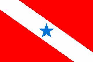 Bandeira de Pará