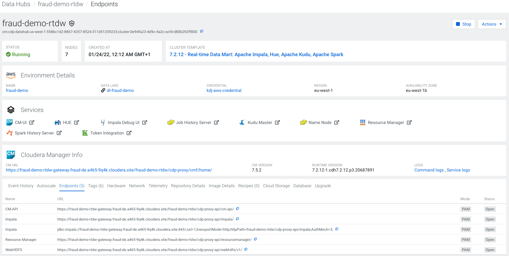 21 Data Hub RTDW Endpoints