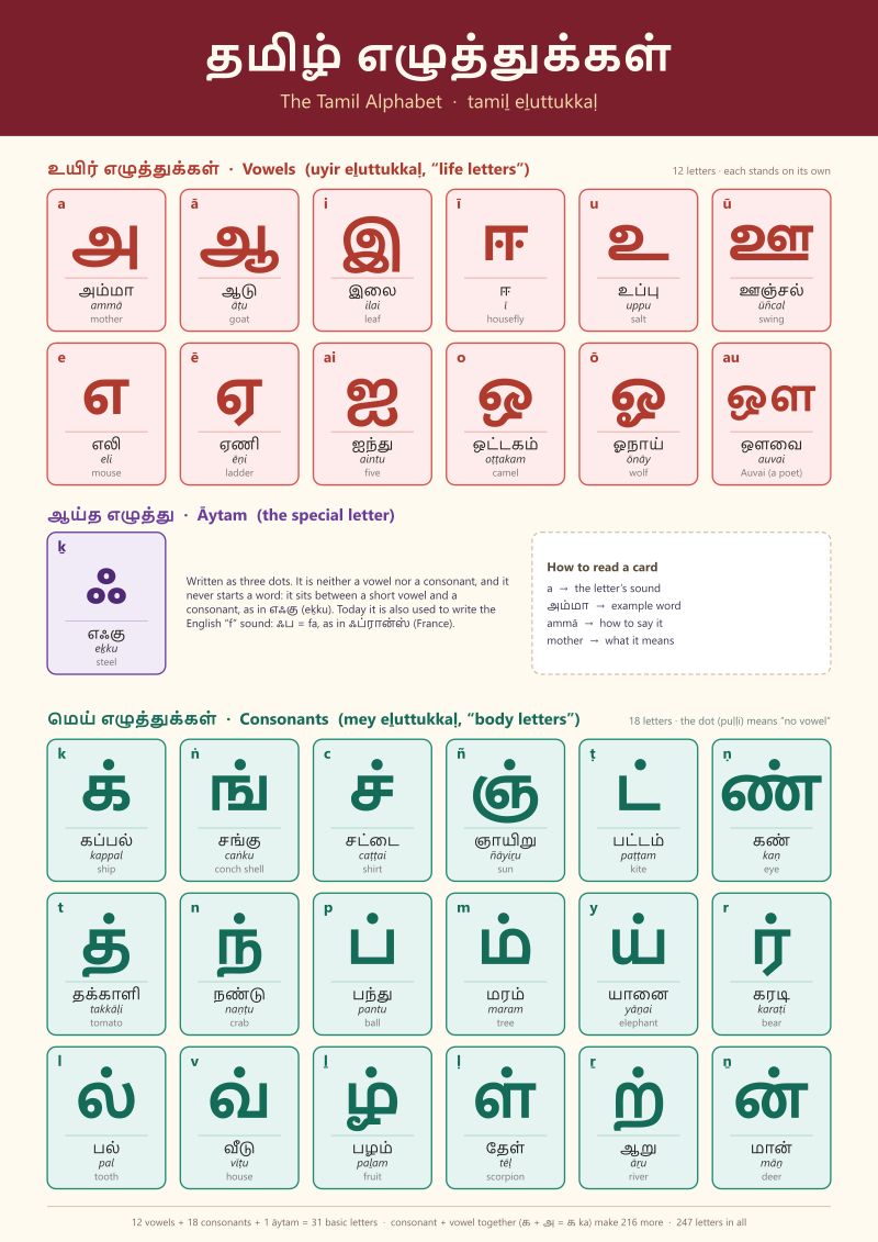 Tamil alphabet poster