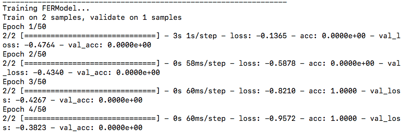 FERModel Training Output