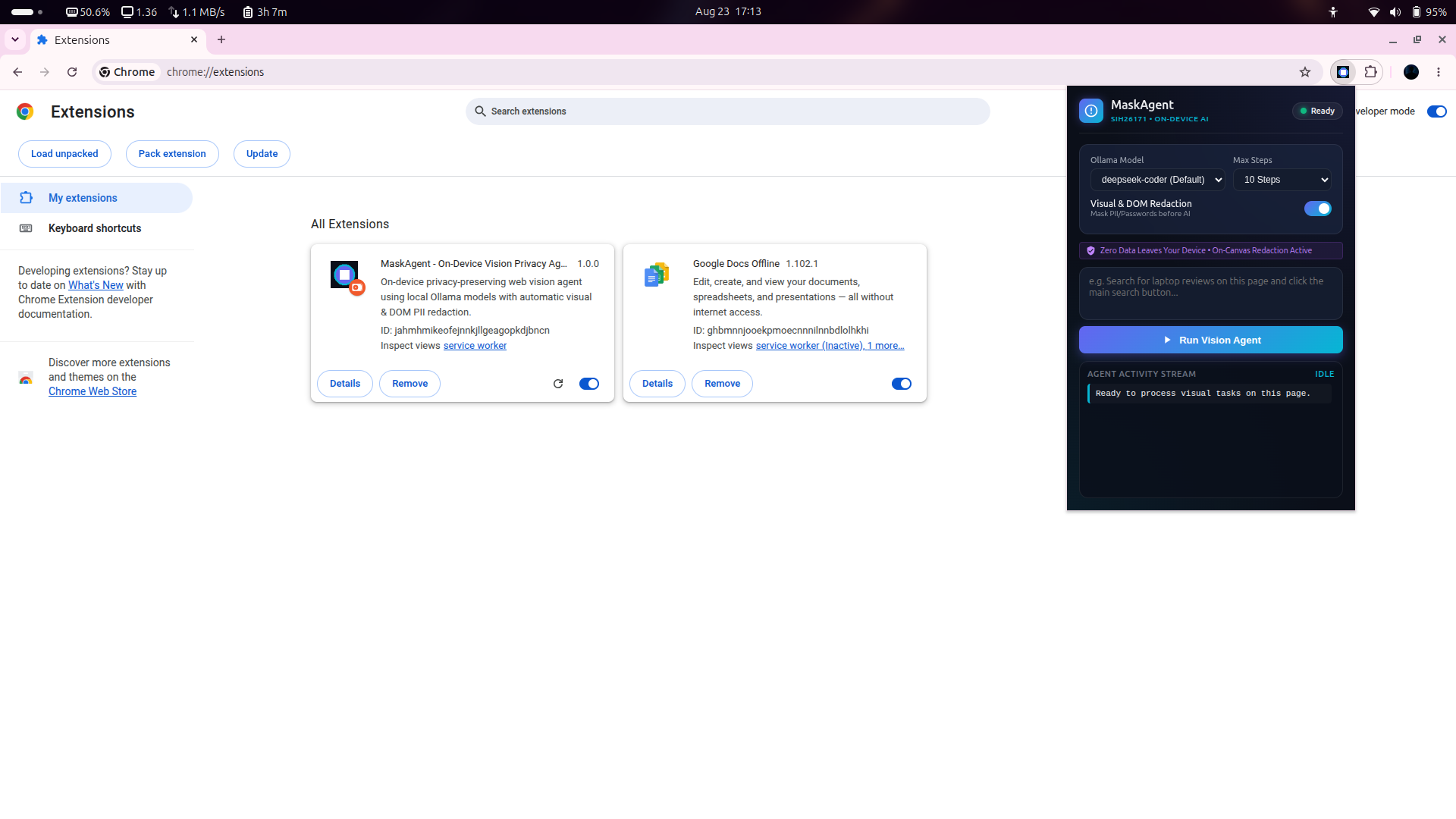 MaskAgent privacy detection interface