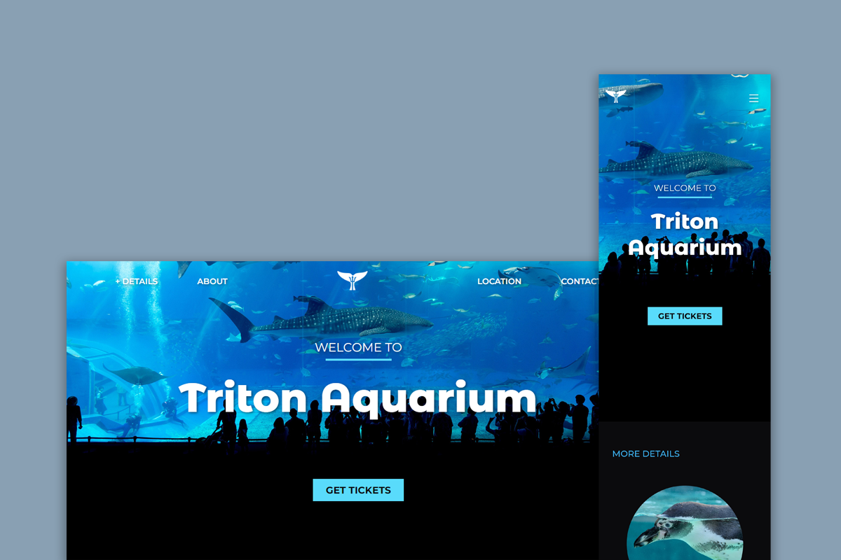 GitHub - biancassantos/aquarium-project · GitHub