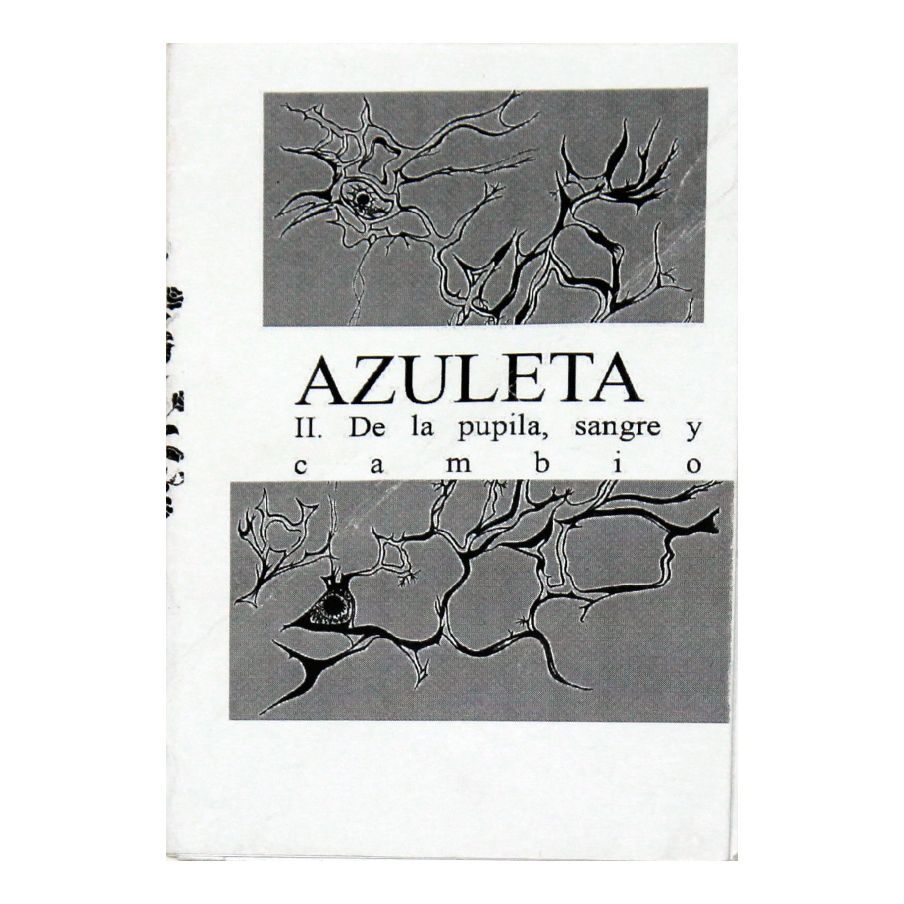 Portada de AZULETA. II. De la pupila, sangre y cambio