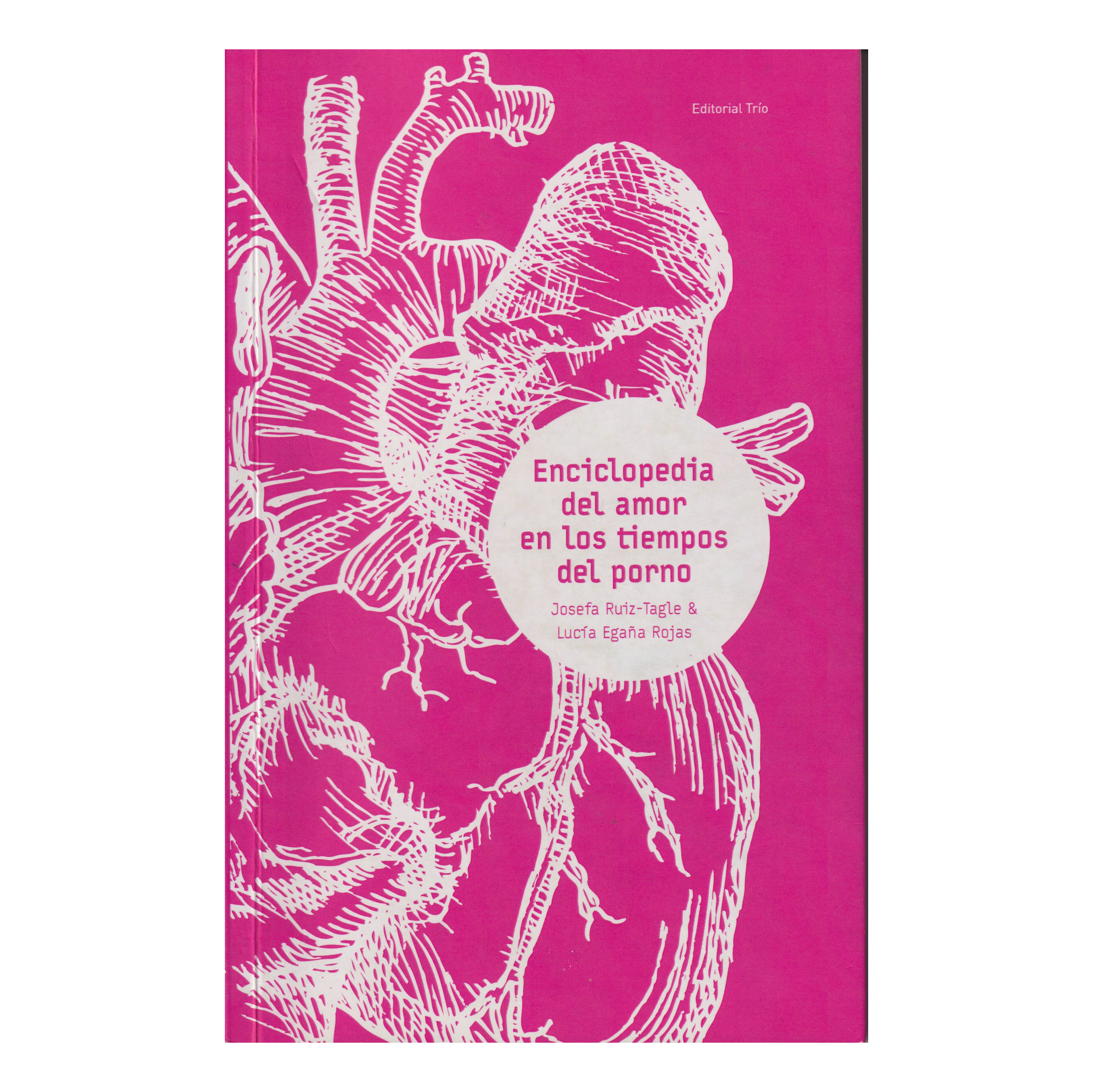 Portada de Enciclopedia del amor en los tiempos del porno