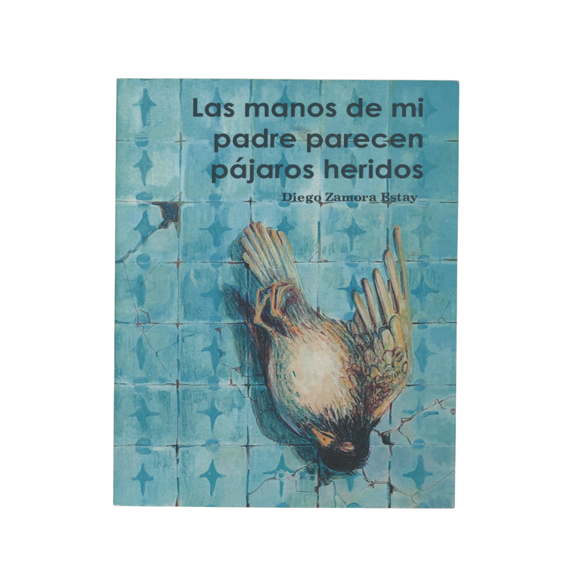 Portada de Las manos de mi padre parecen pájaros heridos