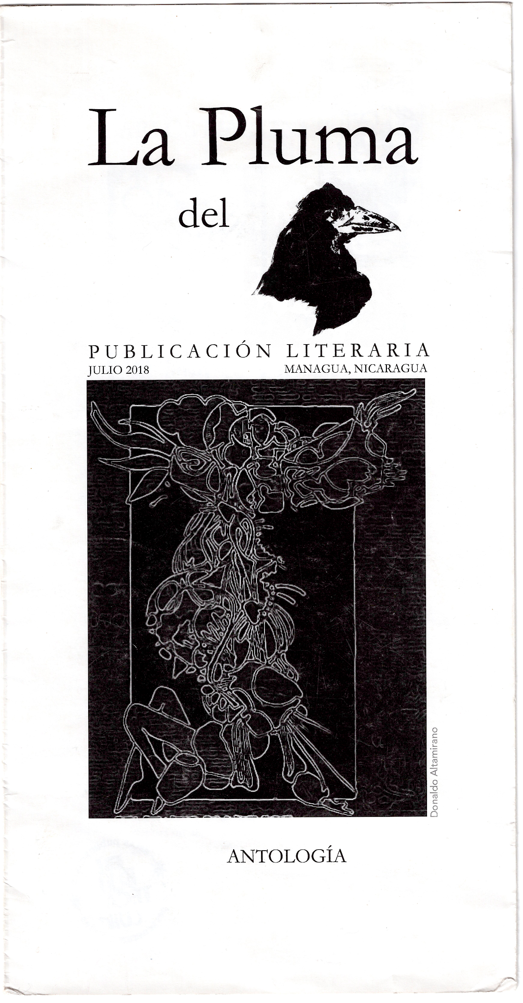 Portada de La pluma del cuervo