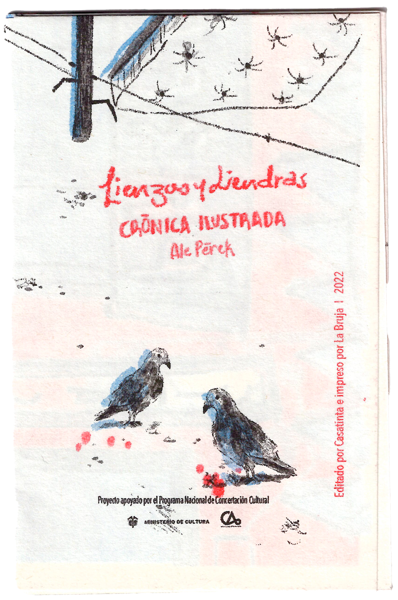 Portada de Lienzos y Liendras