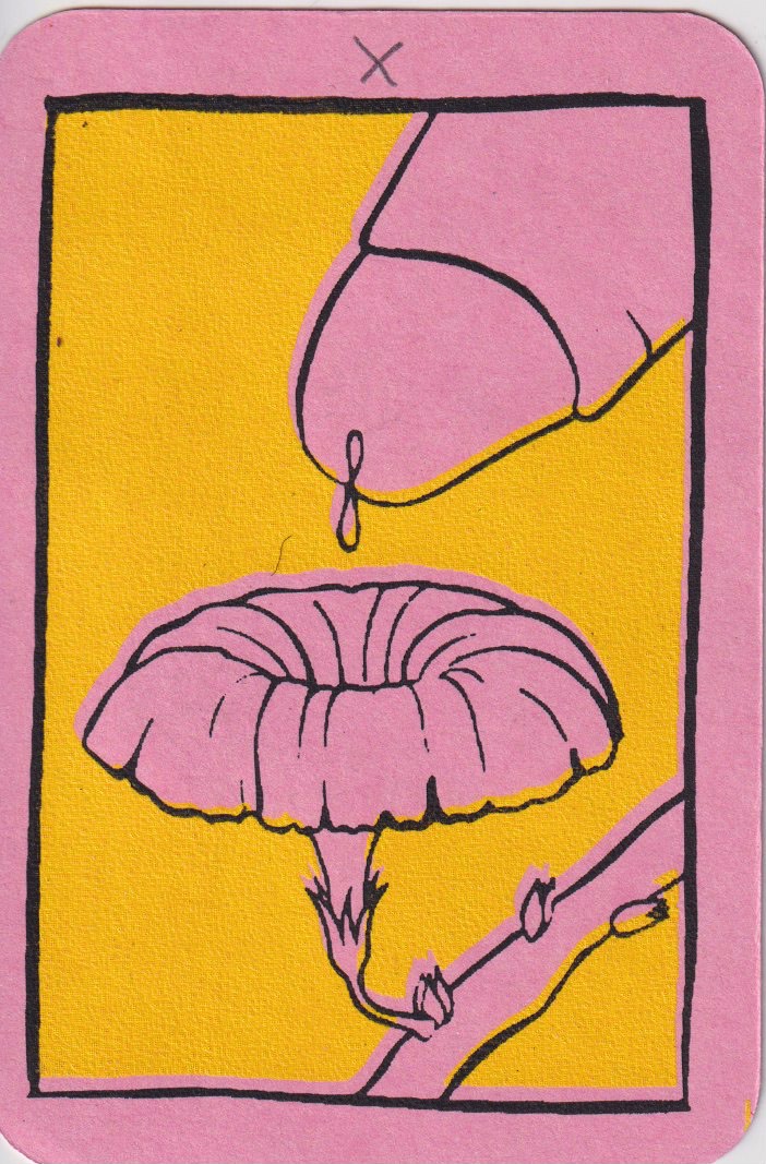Portada de X