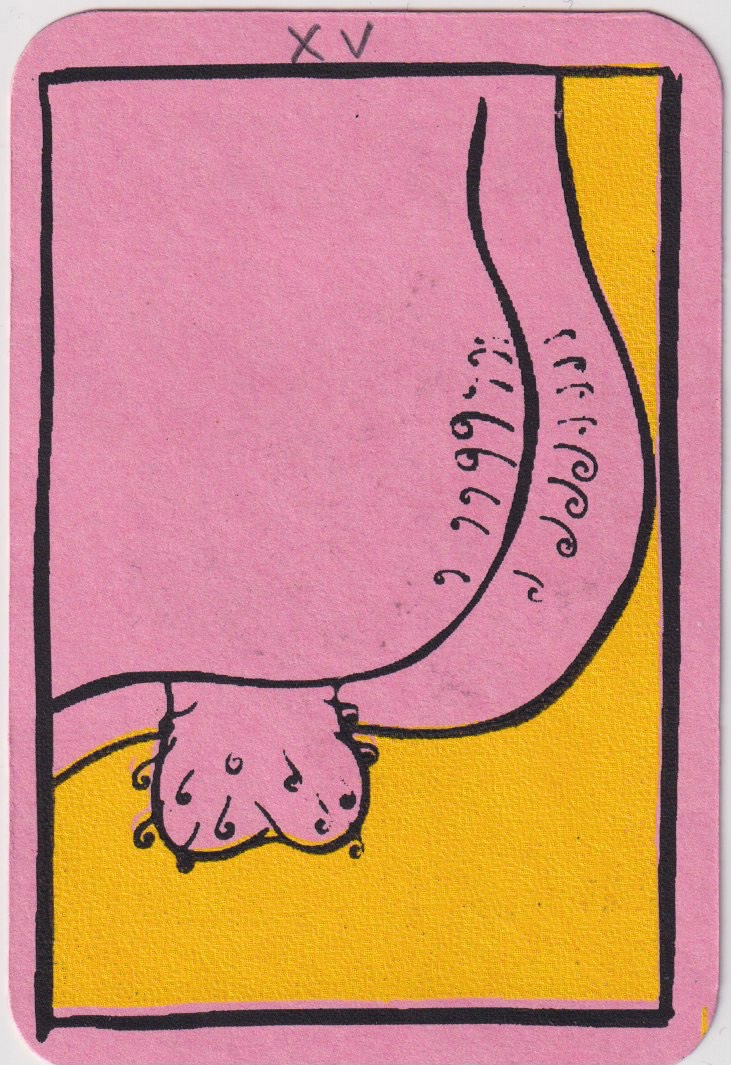 Portada de XV
