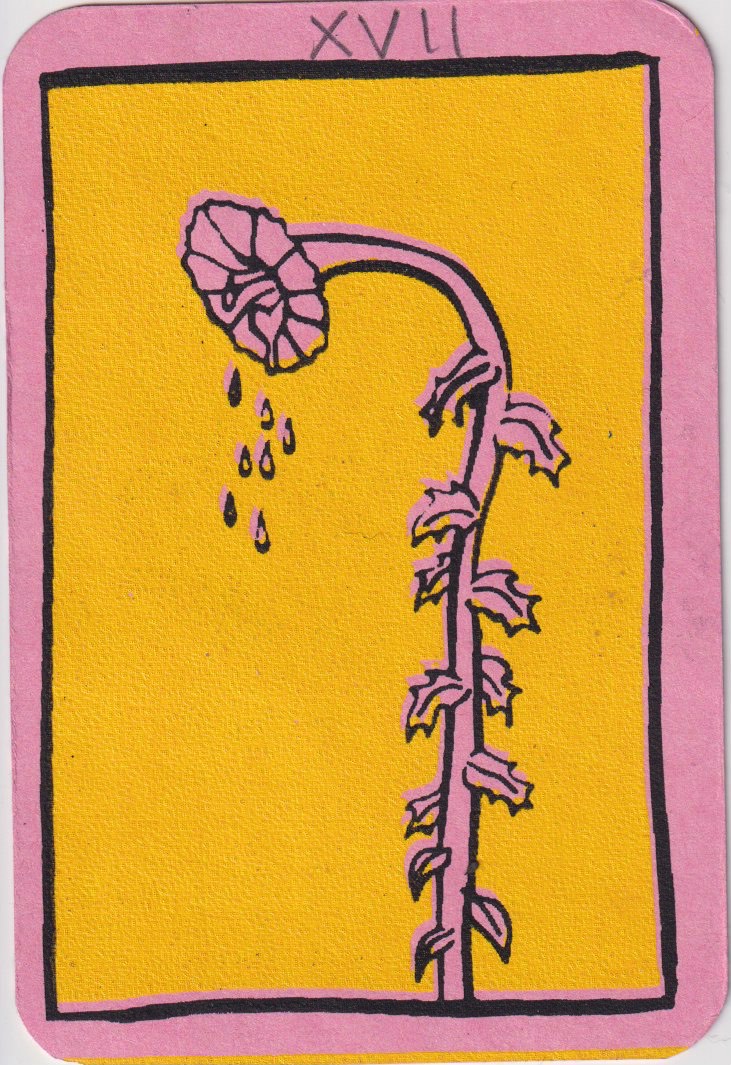 Portada de XVII