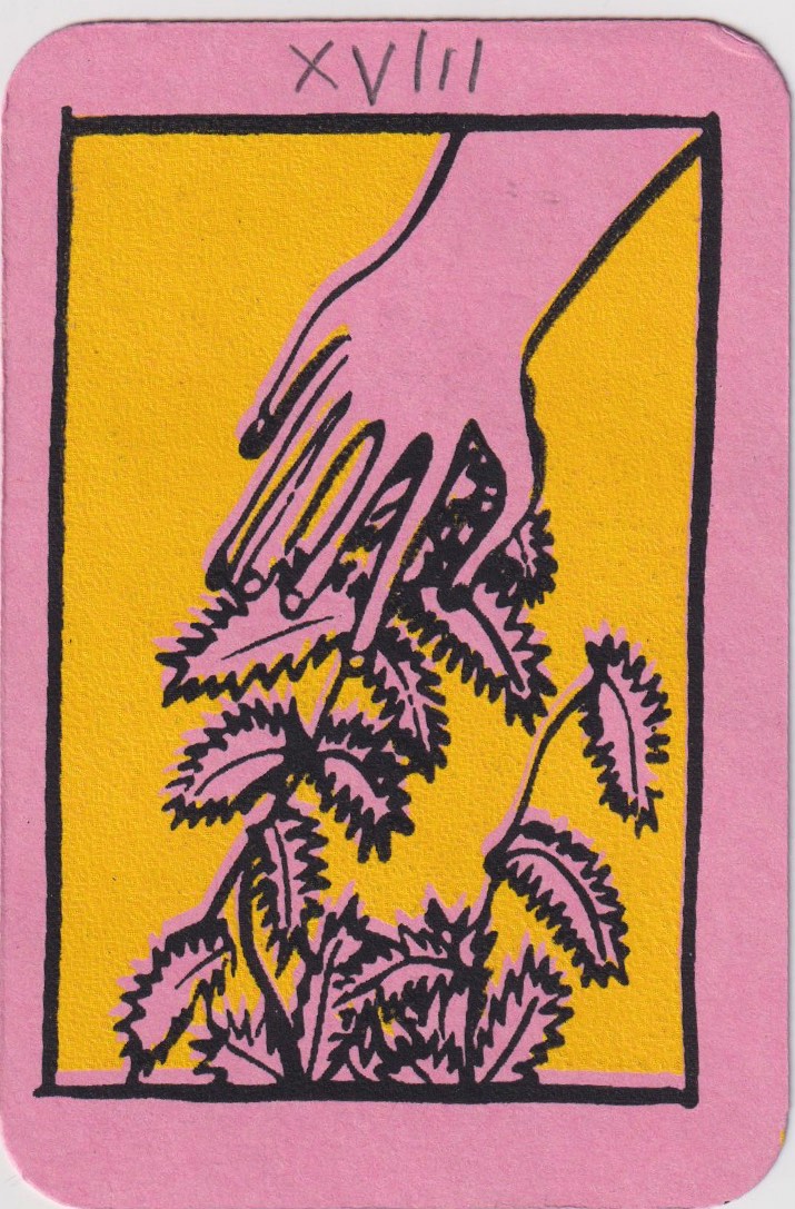 Portada de XVIII