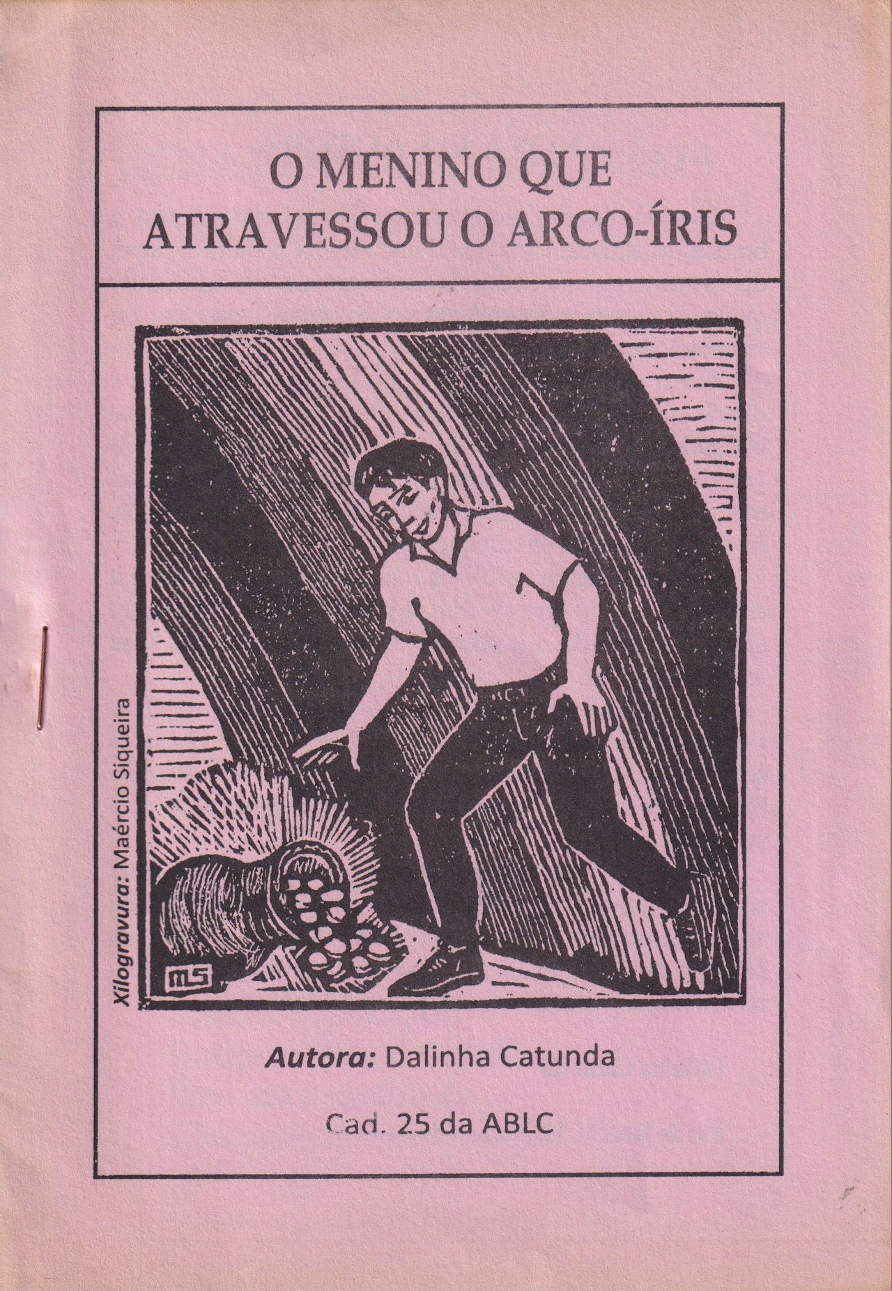 Portada de O menino que atravessou o arco-íris