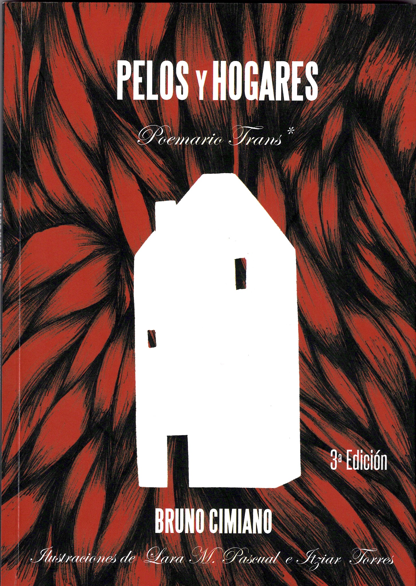 Portada de PELOS y HOGARES. Poemario Trans