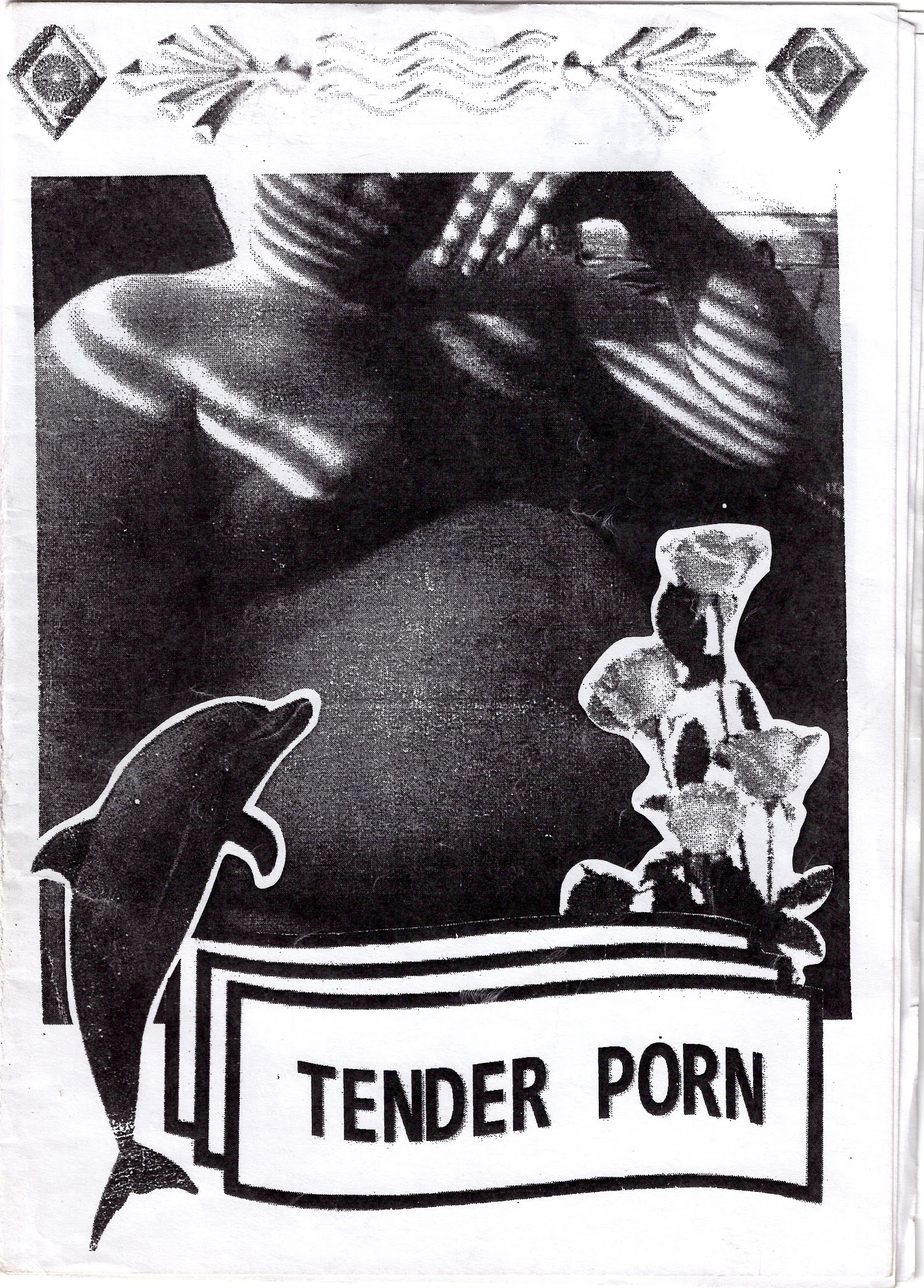 Portada de Tender Porn