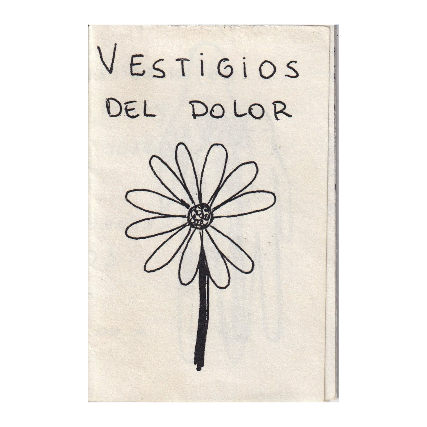Portada de Vestigio del color